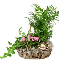 Jumbo Spring Plant Basket