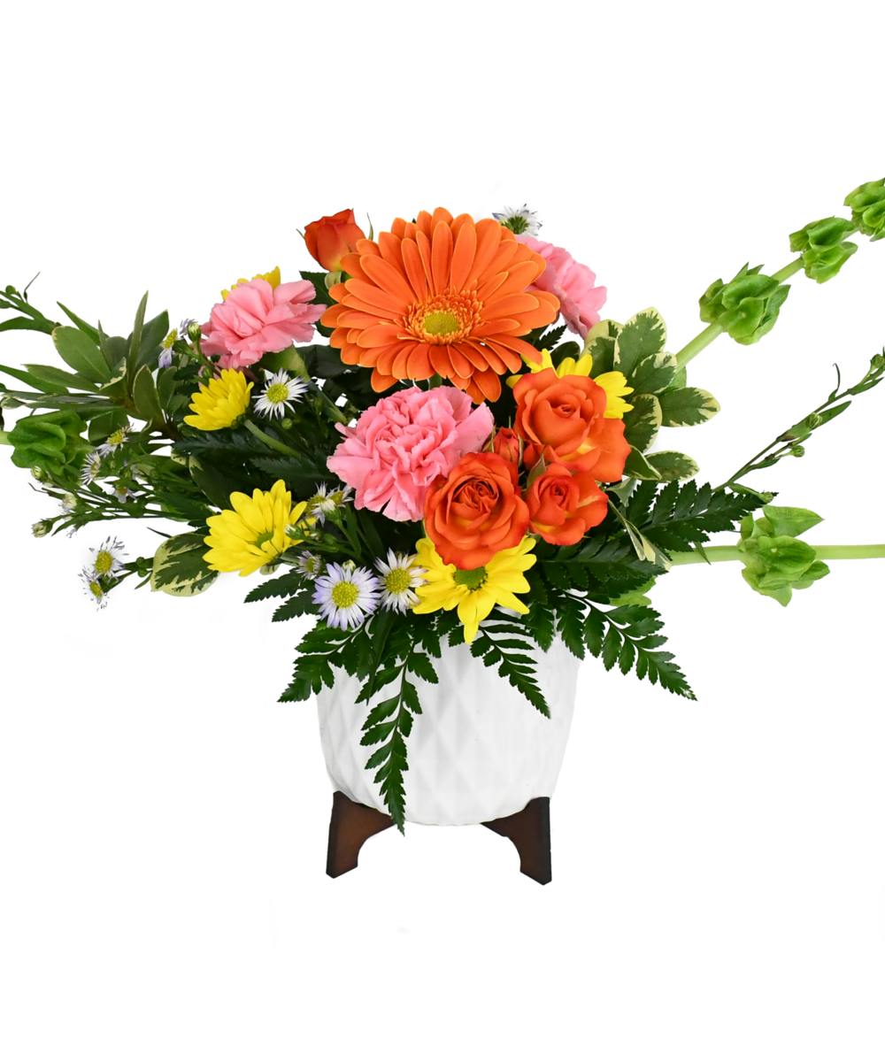 MidMod Brights Jefferson City (MO) Flower Delivery Busch's Florist