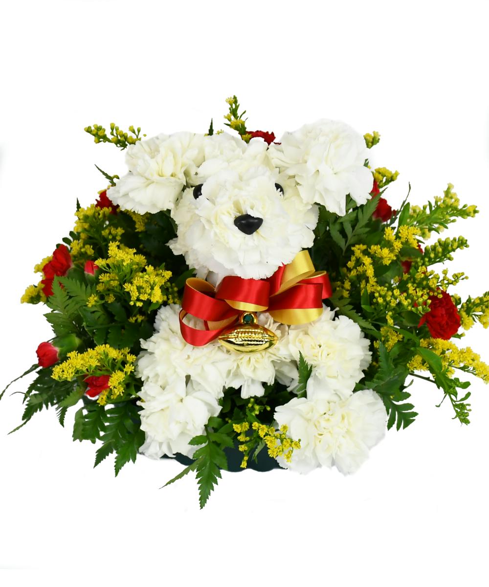Kansas City Chiefs Dogable Arrangement Jefferson City Flowers