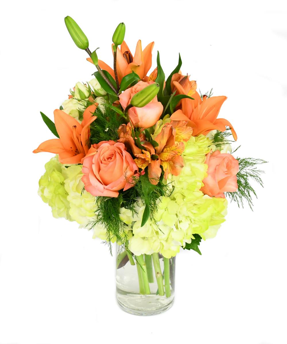 Starburst Bouquet Jefferson City Flower Delivery Same Day