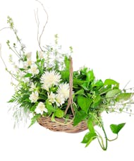 Brighter Days Floral & Plant Basket