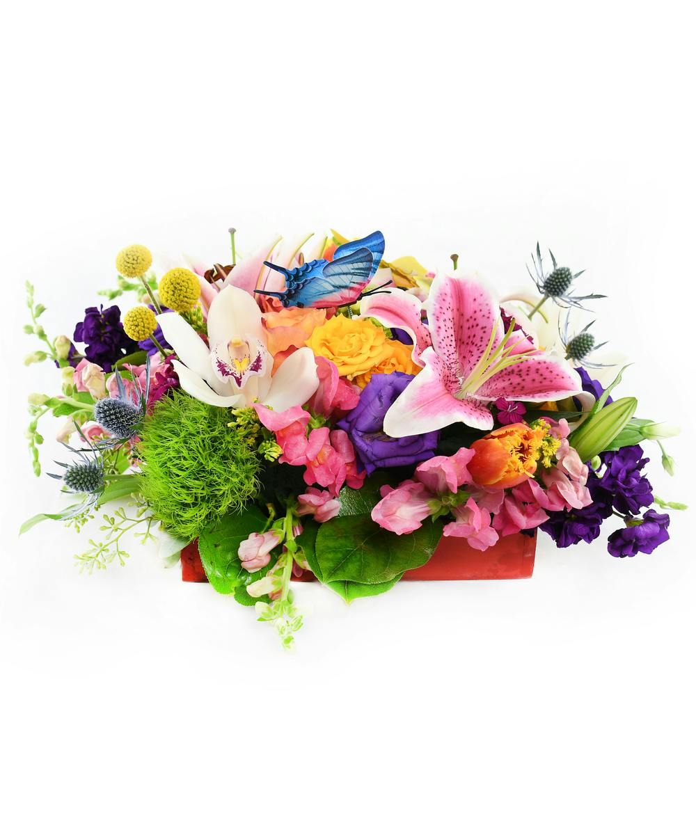 Butterfly Kisses Boxed Arrangement