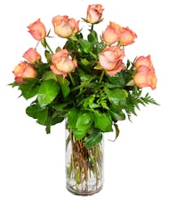 Long Stemmed Peach Roses - 30 inches in height