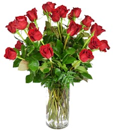 Double Dozen Red Roses - 35 inches in height