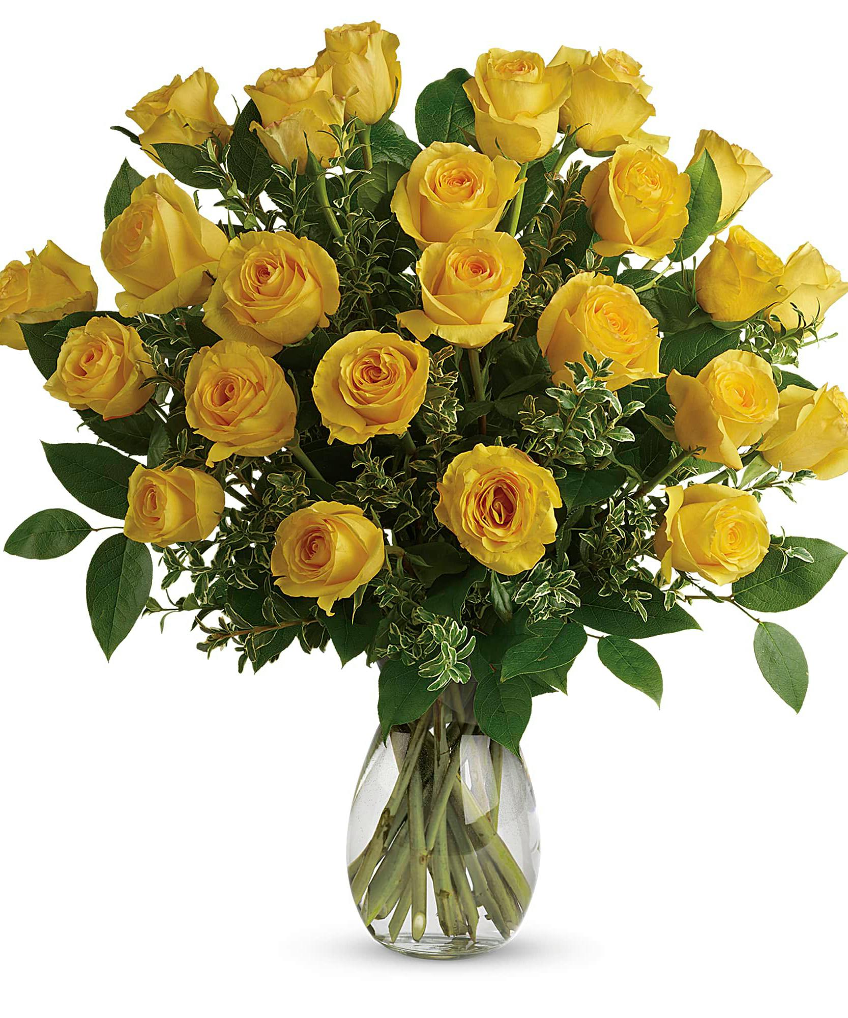 Download Say Yellow: Dozen Yellow Roses | Jefferson City Same Day ...