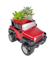 Jeep Succulents