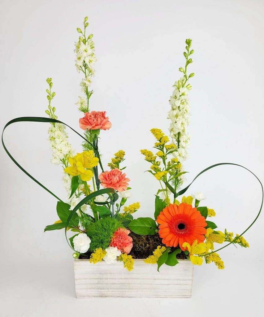 Brightness Jefferson City Flower Delivery