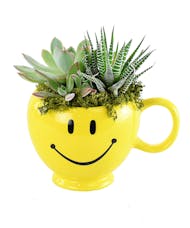 Be Happy with Succulents