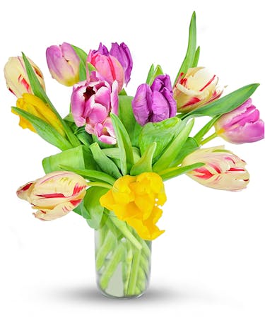 Simply Tulips