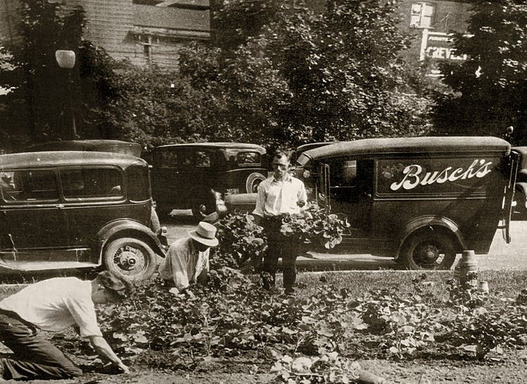 A turn of the century photograph, featuring arrangements near a very early delivery van